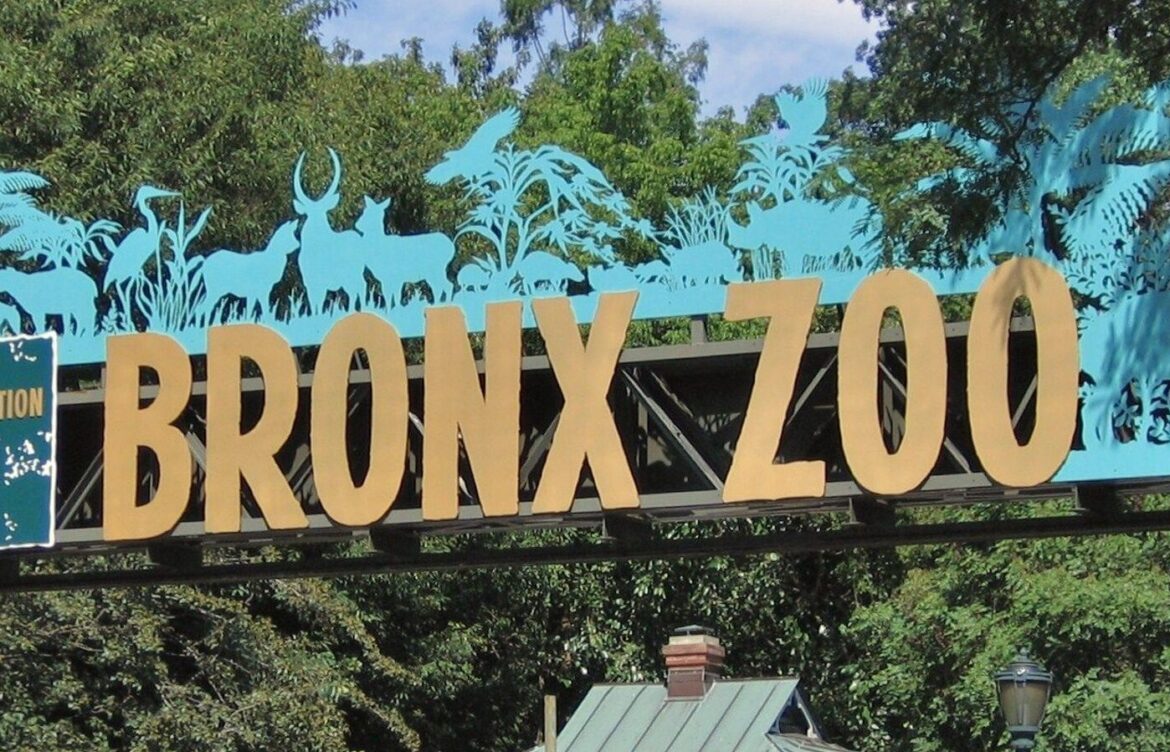 Bronx Zoo Field Trip