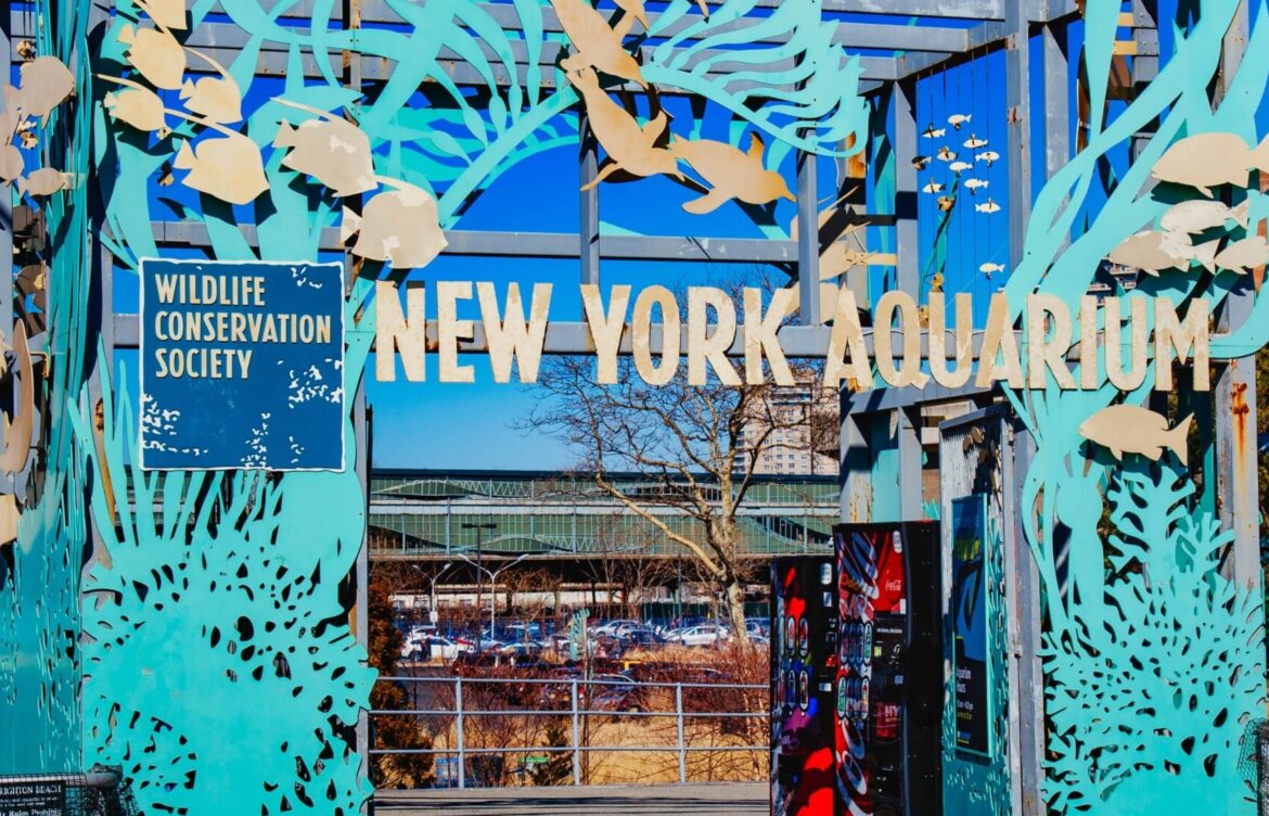 New York Aquarium Trip (Date TBD)